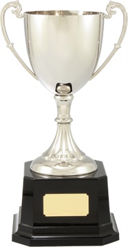 c4039_prestige-metal-trophy-cups.jpg