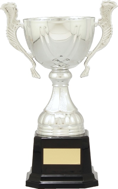 c5028_quality-metal-trophy-cups.jpg
