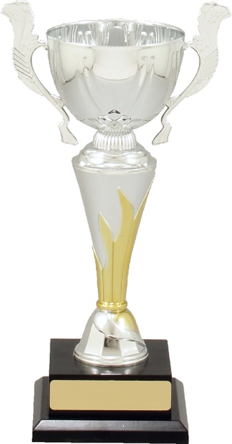 c5120_quality-metal-trophy-cups.jpg