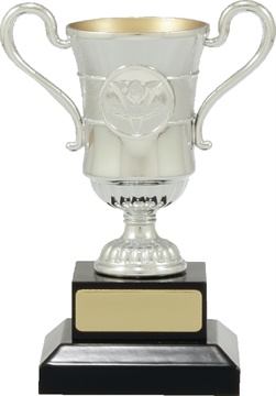 c8057_discount-cups-trophies.jpg