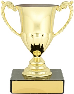 c8063_discount-cups-trophies.jpg