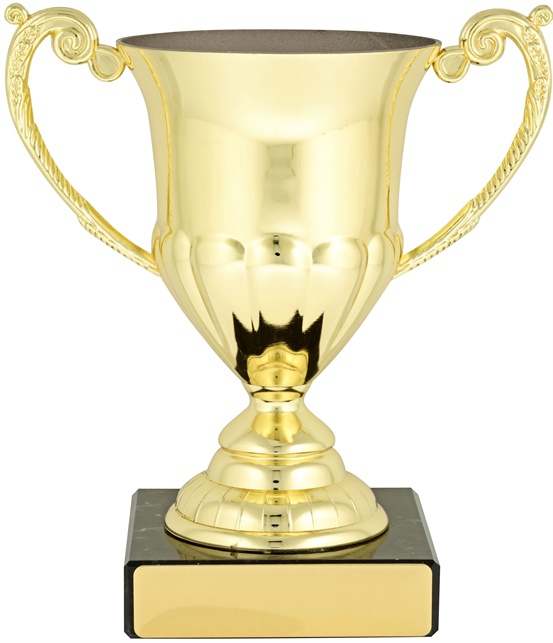c8063_discount-cups-trophies.jpg