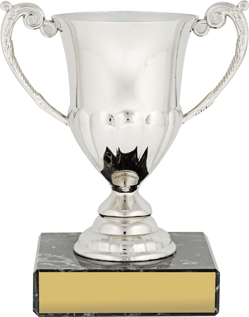 c8066_discount-cups-trophies.jpg