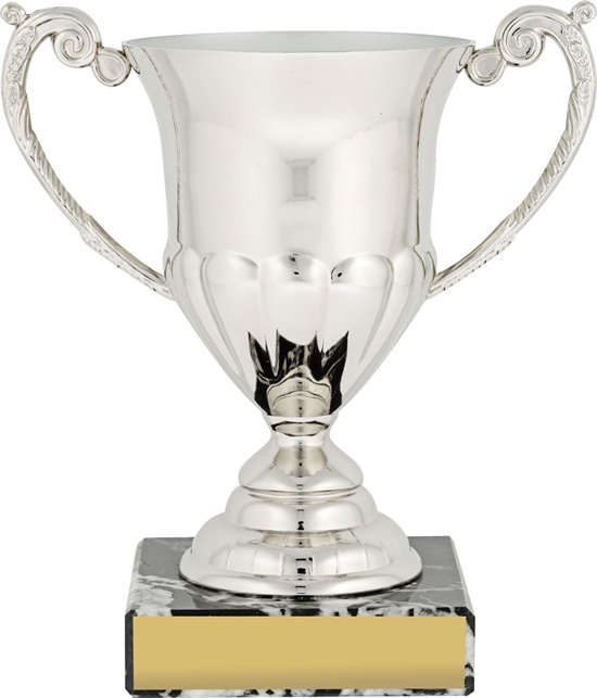 c8066_discount-cups-trophies.jpg