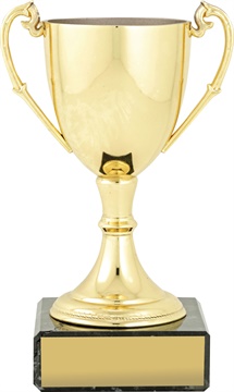 c8073_discount-cups-trophies.jpg