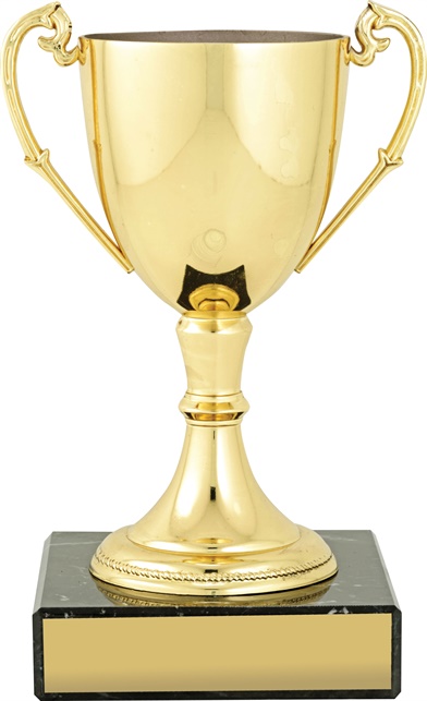 c8073_discount-cups-trophies.jpg