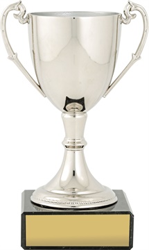 c8075_discount-cups-trophies.jpg
