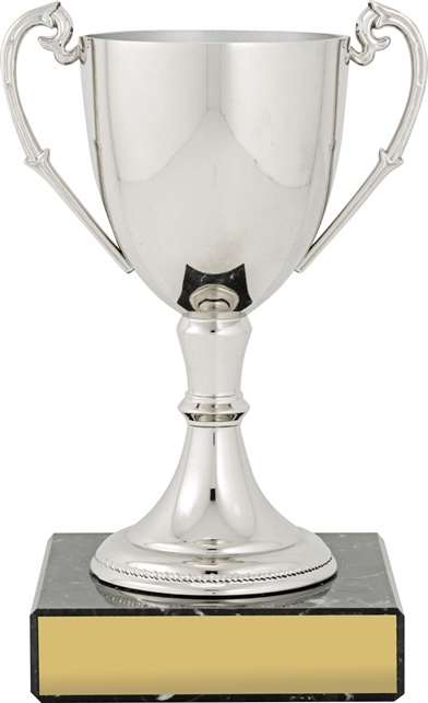 c8075_discount-cups-trophies.jpg