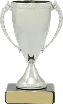 c8077_discount-cups-trophies.jpg