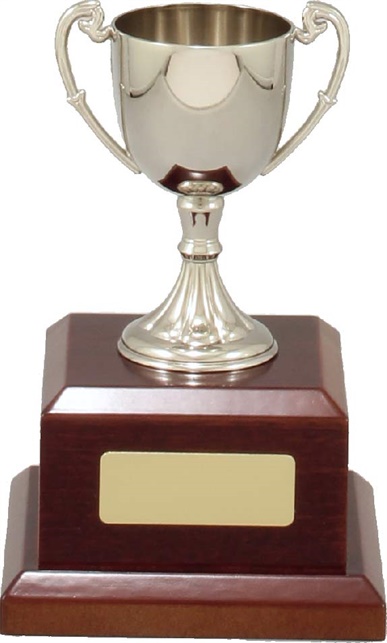 c8100_discount-cups-trophies.jpg