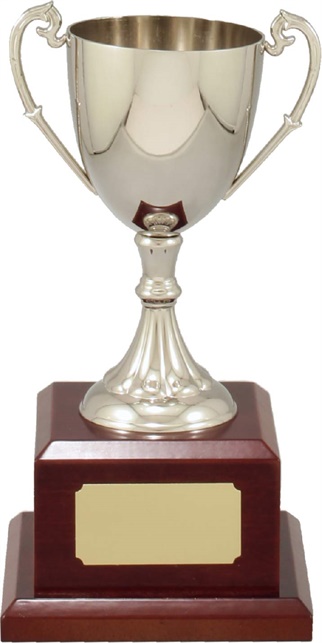 c8100_discount-cups-trophies.jpg