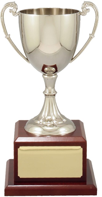 c8100_discount-cups-trophies.jpg