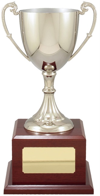 c8100_discount-cups-trophies.jpg