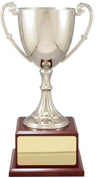 c8100_discount-cups-trophies.jpg