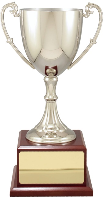 c8100_discount-cups-trophies.jpg
