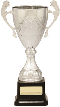 c8122_discount-cups-trophies.jpg