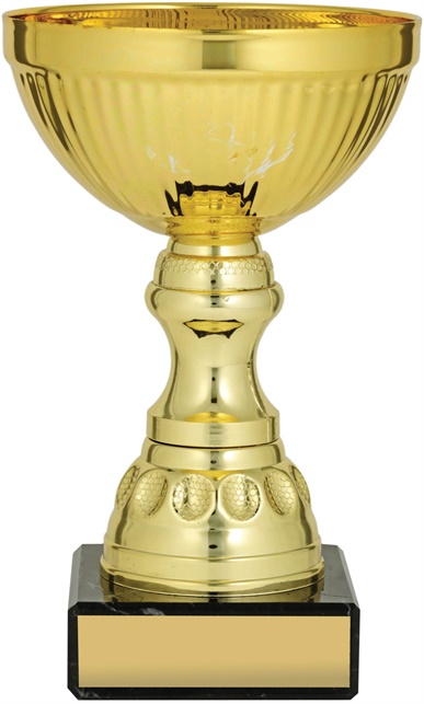 c8128_discount-cups-trophies.jpg