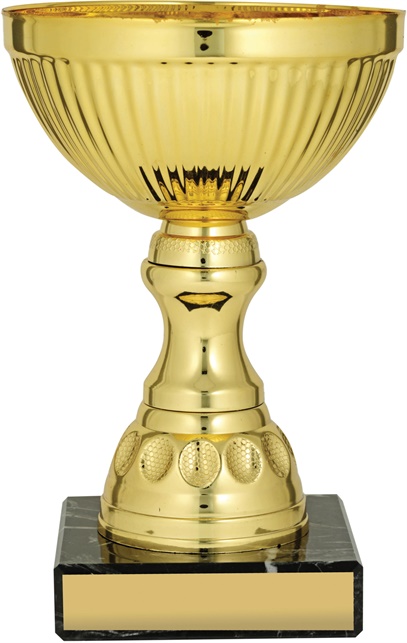 c8128_discount-cups-trophies.jpg