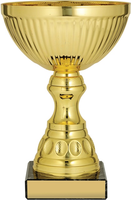 c8128_discount-cups-trophies.jpg
