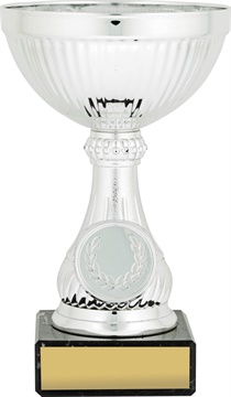 c8138_discount-cups-trophies.jpg