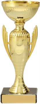 c8191_discount-cups-trophies.jpg