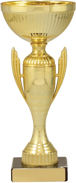 c8191_discount-cups-trophies.jpg