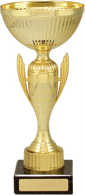 c8191_discount-cups-trophies.jpg