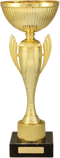 c8191_discount-cups-trophies.jpg