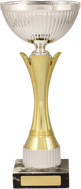 c8197_discount-cups-trophies.jpg