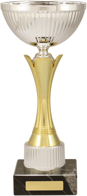 c8197_discount-cups-trophies.jpg