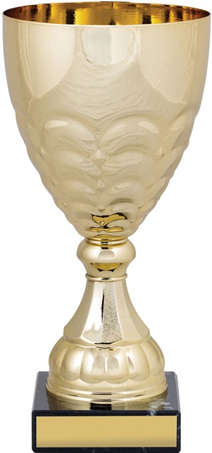 c8248_discount-cups-trophies.jpg