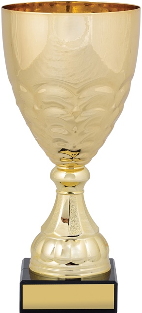 c8248_discount-cups-trophies.jpg