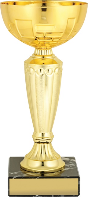 c8252_discount-cups-trophies.jpg