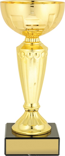 c8252_discount-cups-trophies.jpg