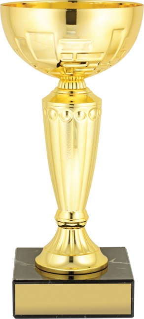 c8252_discount-cups-trophies.jpg