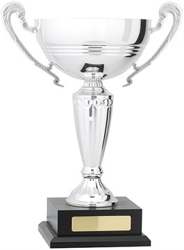 c8261_discount-cups-trophies.jpg