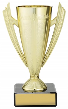 c9004_discount-cups-trophies.jpg