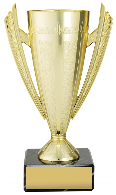 c9004_discount-cups-trophies.jpg