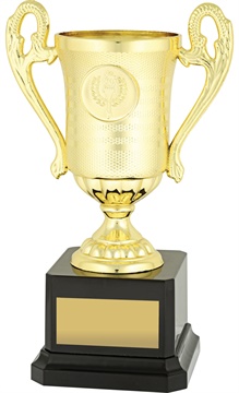 c9017_discount-cups-trophies.jpg