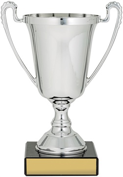 c9021_discount-cups-trophies.jpg