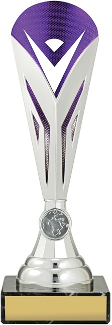 c9036_discount-cups-trophies.jpg