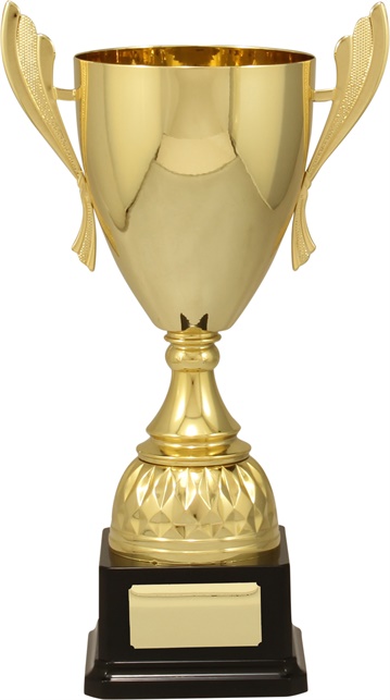 c9133_discount-cups-trophies.jpg