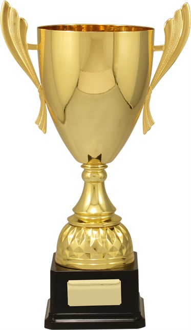c9133_discount-cups-trophies.jpg