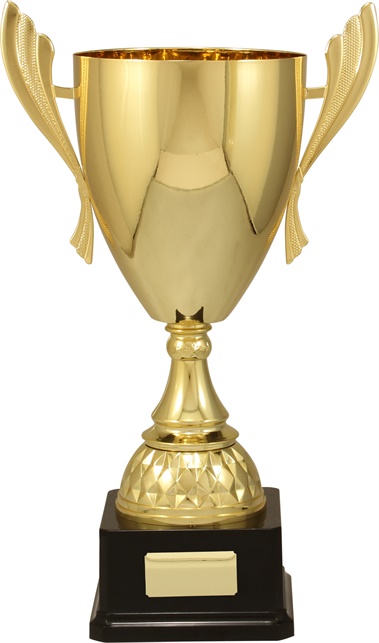 c9133_discount-cups-trophies.jpg