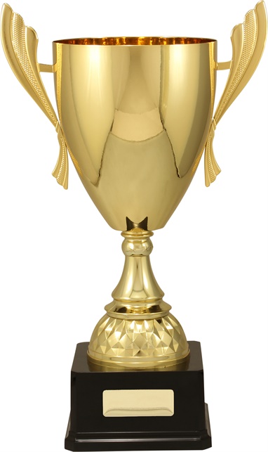 c9133_discount-cups-trophies.jpg