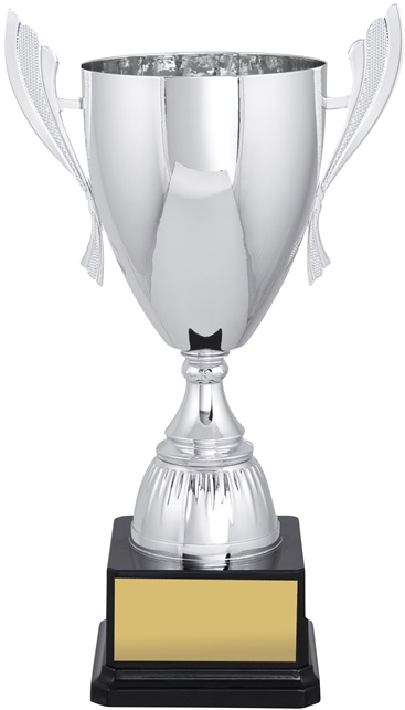 c9139_discount-cups-trophies.jpg