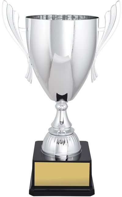 c9139_discount-cups-trophies.jpg
