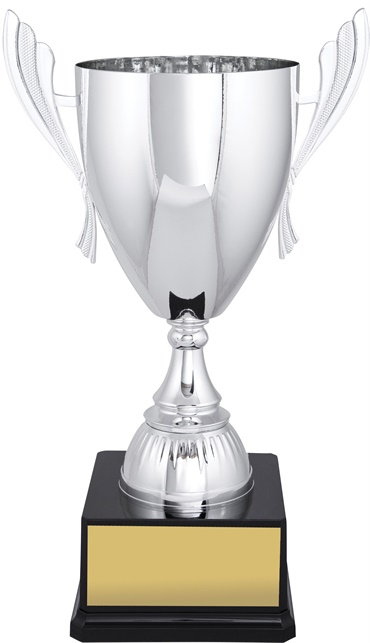 c9139_discount-cups-trophies.jpg