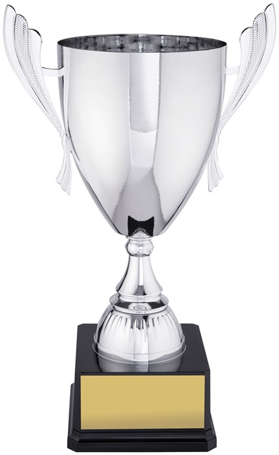 c9139_discount-cups-trophies.jpg