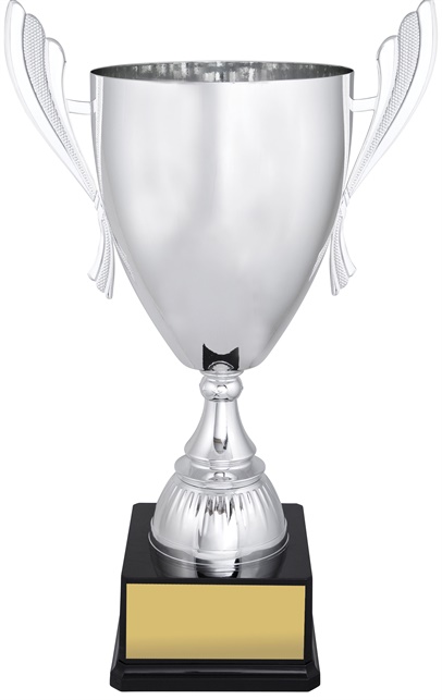 c9139_discount-cups-trophies.jpg